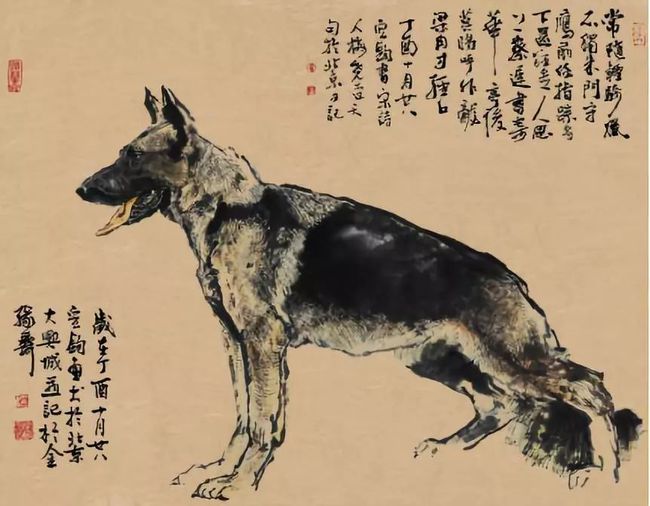 虎落平原被犬欺，古人流传有道理打一精准生肖，构建解答解释落实_85b78.05.11