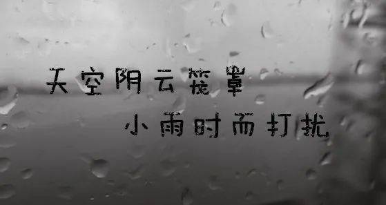 一本真书传家宝，野雨阴云一地水，四海欢呼大统一，家中喜事一连串打一精准生肖，实时解答解释落实_9b91.26.14