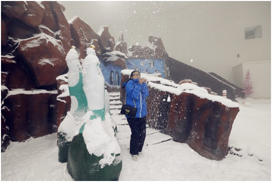 雪拥路滑成灾殃，披褂上阵尚维艰，日影漂移穿短袖，南北温差两重天打一精准生肖，定量解答解释落实_lv69.83.93