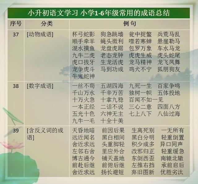 词语作答解释:今期生肖春为首,一杯更进将军酒打一最佳生肖，精准解答解释落实_hv043.07.65