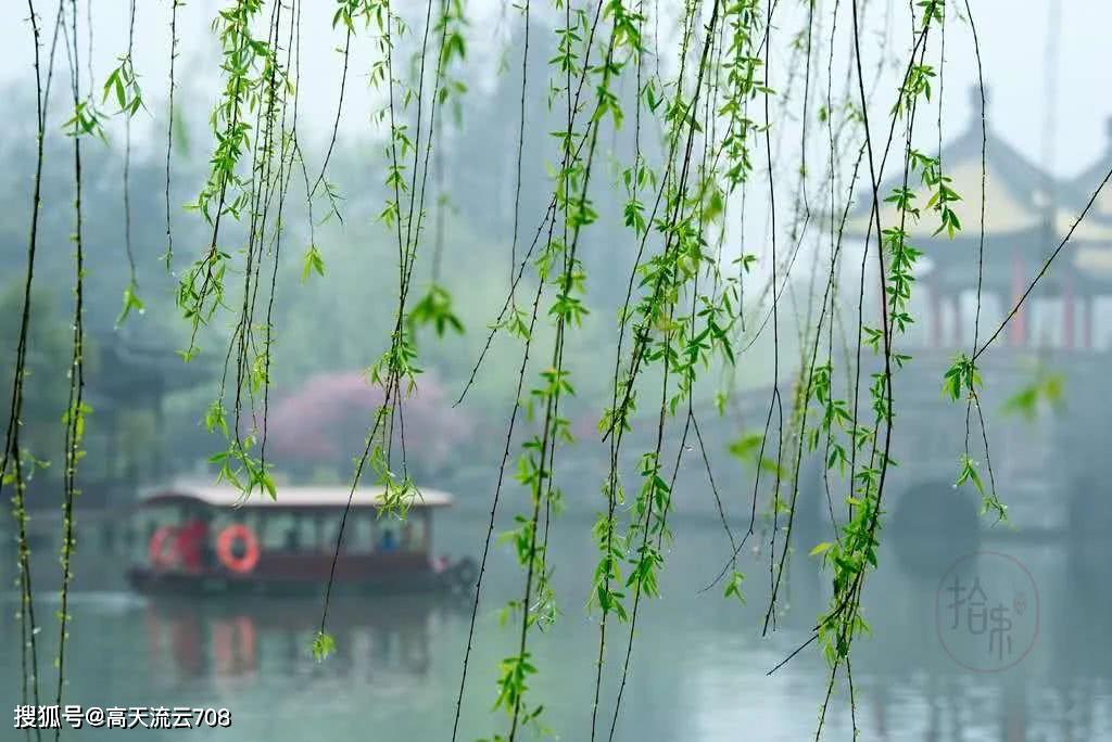 今期鼠马输尽光，夏日清风拂水面，柳叶绿芽美如画，辞旧迎春新年好。打一精准 生肖，构建解答解释落实_agi41.49.53