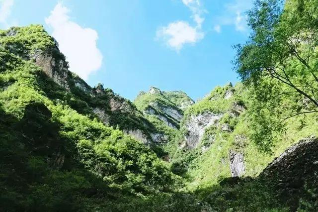 飞来山上千寻塔 闻说鸡鸣见日升  打一精准生肖，前沿解答解释落实_3lp40.20.78