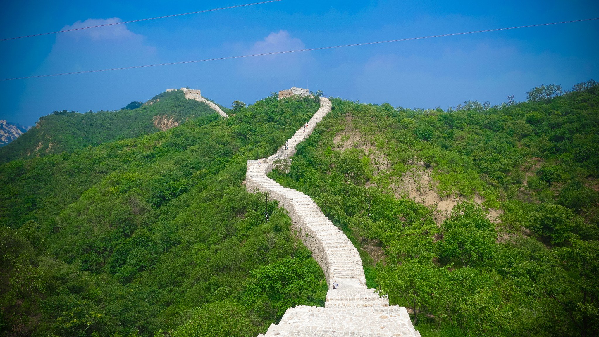 欲钱飞上蓝天空，长城内外尽朝绿打一精准生肖，定量解答解释落实_ilm86.42.82