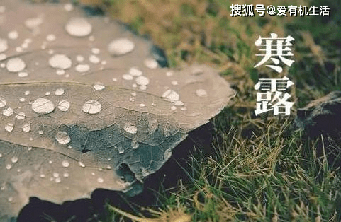 七手八脚添惊乱，神清气稳方安康。连日阴雨气温降，虽是夏季夜半凉；打一精准生肖，科学解答解释落实_mj033.05.55