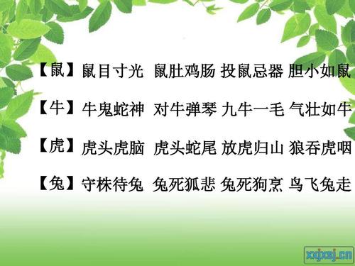 犬守家园猜一谜语生肖动物，全面解答解释落实_9dx80.56.06