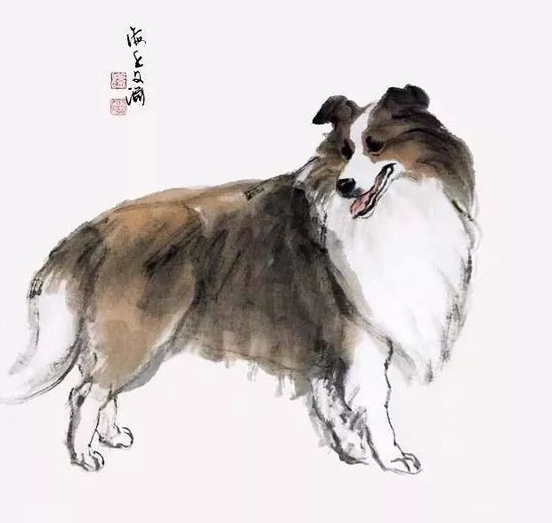 犬守家园猜一谜语生肖动物，统计解答解释落实_3853.80.05