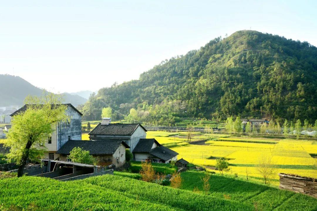 和风细雨 打一精准生肖，科学解答解释落实_li864.02.45