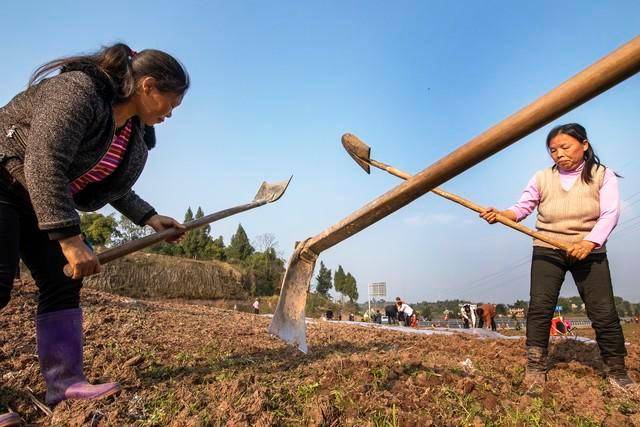 大力妈才去种地 江山一代传一代 打一生肖，实证解答解释落实_fur81.85.30