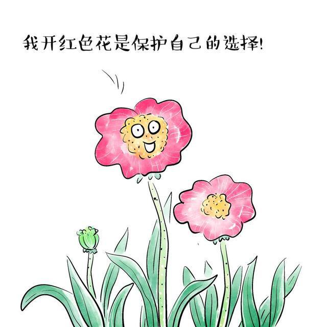 十八姑娘一朵花 五颜六色景如画打一生肖，全面解答解释落实_c779.13.09