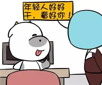 看点 第237页