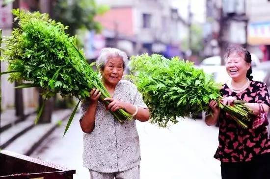 众人怀念屈原约 粽子艾叶雄黄酒 打一精准生肖，构建解答解释落实_56d83.98.12