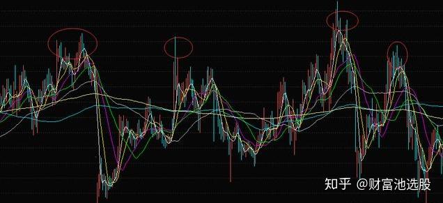 本期区六定有尾 七高悬二六明 打一精准生肖，前沿解答解释落实_gpp10.13.02