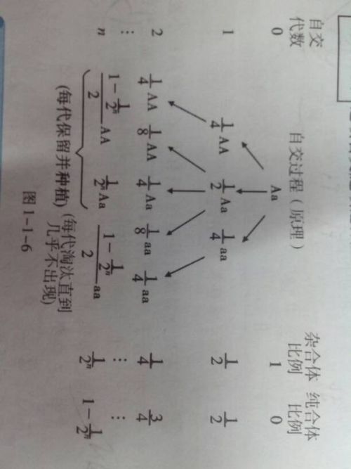 国际 第222页