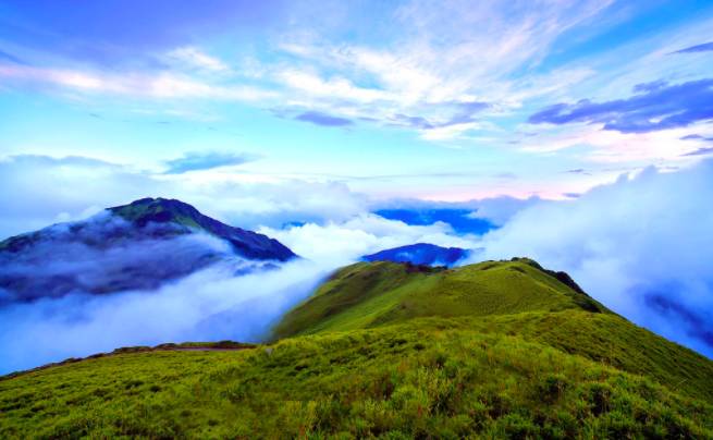 绿水百花景色美，大地草原牛马欢，满地金钱不为动，泰山崩前色不改打一准确生肖，实时解答解释落实_75420.69.16