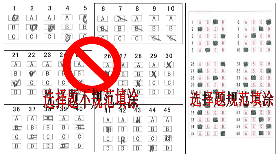 国内 第219页