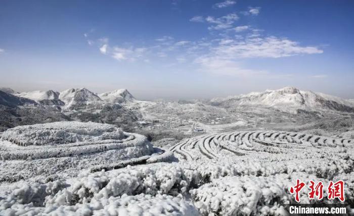 高山绿绿伴点雪，村外学校红旗飘打一准确生肖，时代解答解释落实_qc363.70.47