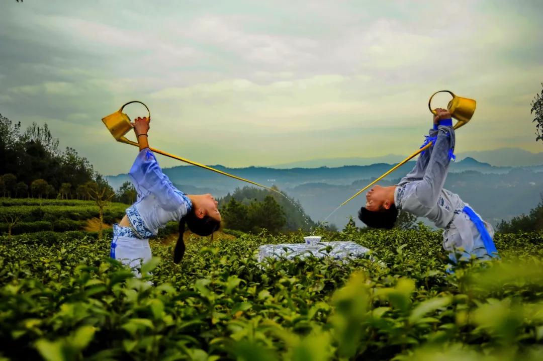 蓝天白云满山跑。两角尖尖吃青草，春满人间家和美，比手划脚谈江山打一准确生肖，详细解答解释落实_iuy09.19.67