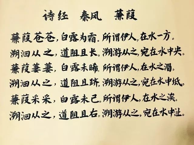 此木为柴,不劈不快,不肯屈就必失败 打一精准生肖，深度解答解释落实_2cs00.57.83