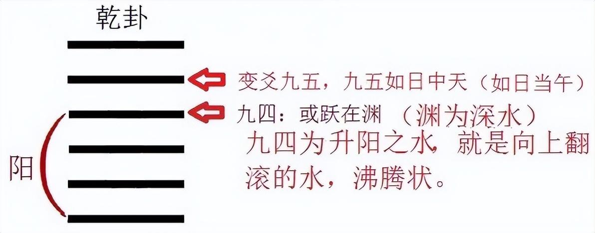 一码当先要看大，子午相冲不可信 打一精准生肖，实证解答解释落实_ex10.54.16