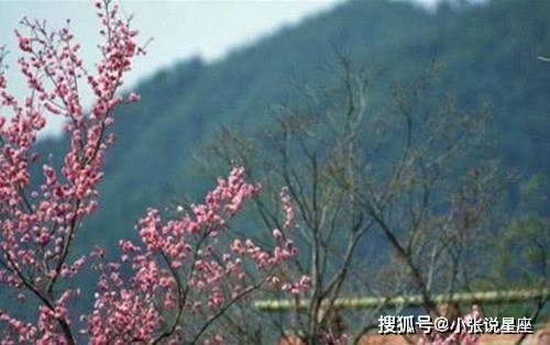 双喜临门合家欢 风水宝地出能贤  打一精准生肖，深度解答解释落实_or91.27.70