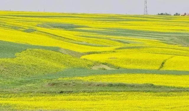 双喜临门合家欢 风水宝地出能贤  打一精准生肖，定量解答解释落实_dte36.66.66