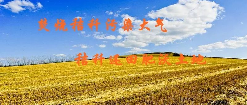 无计可施,乱石投林, 打一精准生肖，实证解答解释落实_9733.78.78