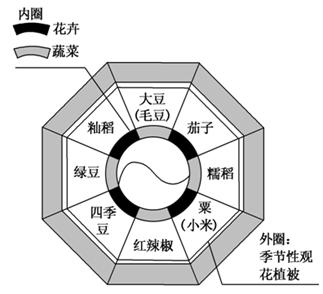 “今期生肖五六开,三月阳春好风光”是指什么生肖，定量解答解释落实_v901.20.91