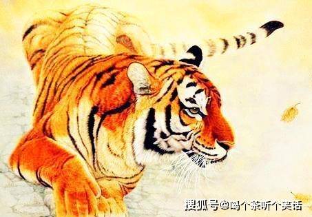 “今期生肖五六开,三月阳春好风光”是指什么生肖，综合解答解释落实_ktp41.50.16