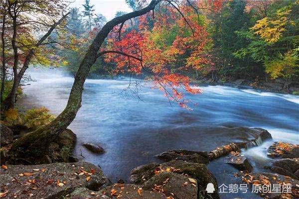 大地山河美如画，秋结硕果喜农家，四海八洲问河络，受命于危难之间打一精准生肖，科学解答解释落实_lar61.27.34