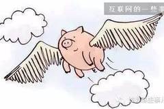 生肖已解:波折瘦硬結浅疏，細如春蝴濃如猪打一精准生肖，前沿解答解释落实_gz41.85.75