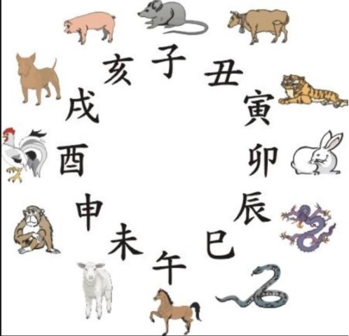 生肖已解:二七头上合三数，双数没有合双好是什么生肖数字，专家解答解释落实_v0l95.61.18