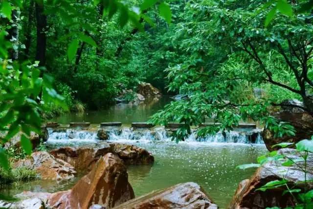 生肖已解:山青水绿风景美,人杰地灵家富裕打一个生肖，科学解答解释落实_rw39.89.95