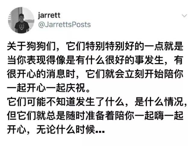 東風西北四虚平，主人不善客難留打一精准生肖，科学解答解释落实_7ml91.63.28