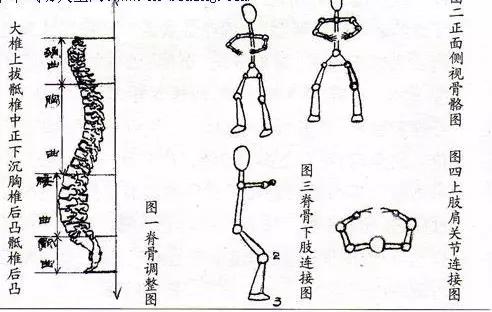 立定脚跟撑起脊梁指什么生肖，全面解答解释落实_3fe80.81.49