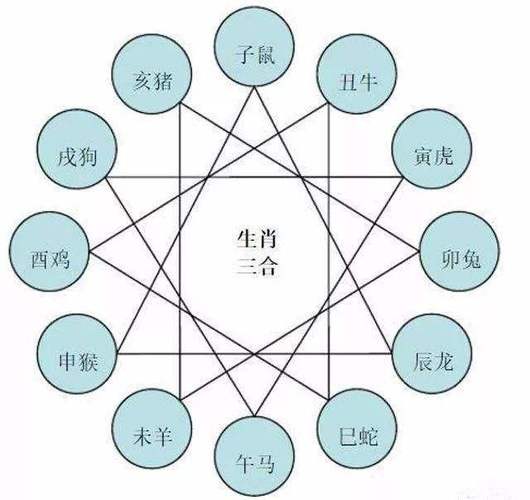 欲钱找相冲相克生肖 打一精准生肖，构建解答解释落实_sb432.00.72