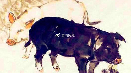 财神送来猴和猪 跟牛胜定不后悔 打一精准生肖，实证解答解释落实_m239.46.68