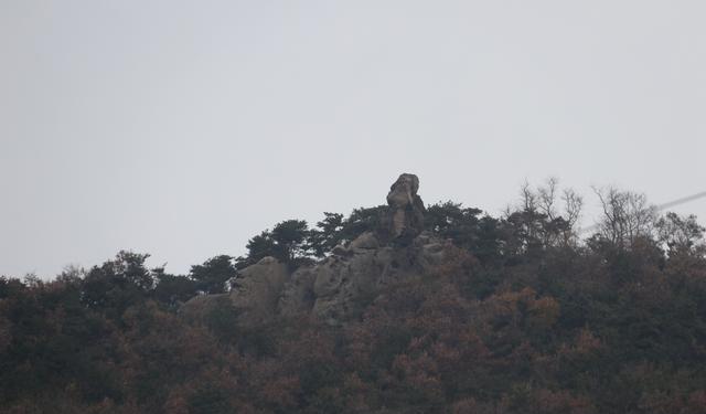 ‌横看为嶺,侧望为峯。远近高低各不同‌ 打一精准生肖，构建解答解释落实_ed907.95.38