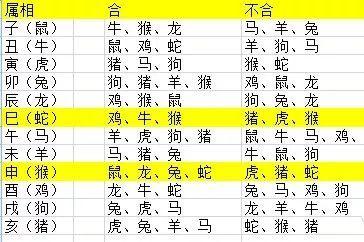 夫妻无隔宿之仇打一正确生肖，构建解答解释落实_ic29.44.30