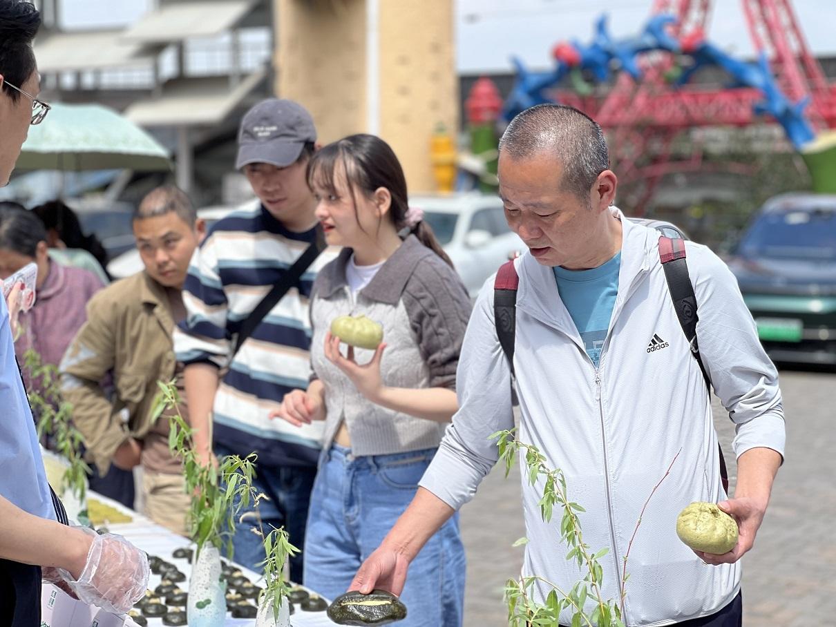 家花更比小花香，六七几九是四十打一精准生肖，时代解答解释落实_a988.98.81