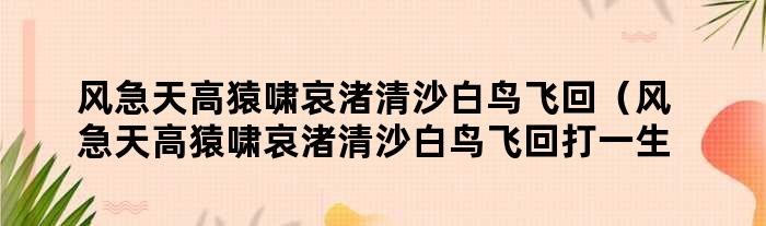 风急天高猿啸哀，渚清沙白鸟飞回打一精准准确生肖，详细解答解释落实_j943.91.96