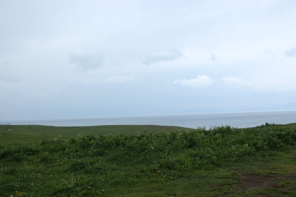 两角尖尖吃青草，蓝天白云满山跑指代表什么生肖，构建解答解释落实_9854.23.25