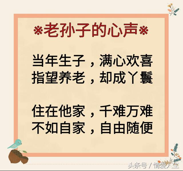 考上秀才盼当官，欲无止境指代表什么生肖，构建解答解释落实_8u07.25.53