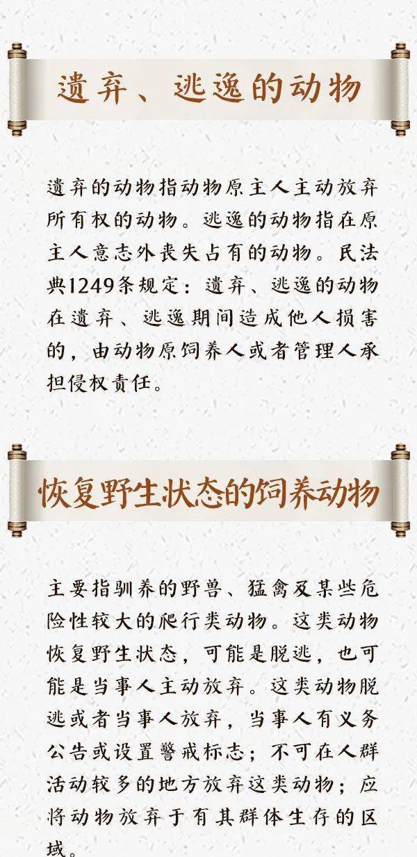 回首往事知多少  今期生肖二六乘 打一精准生肖，详细解答解释落实_r1x32.42.68