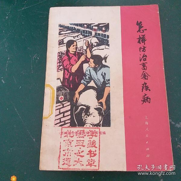 今期生肖有富贵 牛鬼蛇神做坏事 老人弹琴儿童唱 羊前兔后君须记  打一准确生肖，全面解答解释落实_we65.33.42