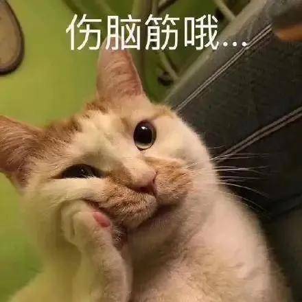 欲钱买疯疯癫癫的动物猜一肖，科学解答解释落实_ybu65.32.17