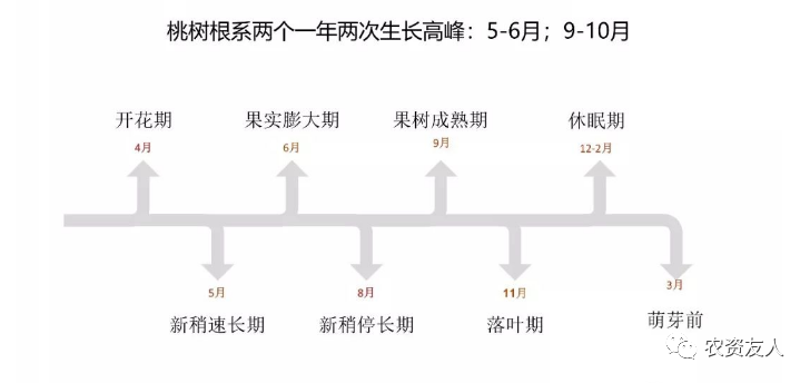 下揸刀仔，占鋸大樹。只靠運氣難成事。  打一精准生肖，构建解答解释落实_j474.02.36