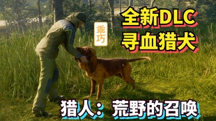 猎犬自是山上丧， 归根到底终须离。打一精准生肖，统计解答解释落实_68x12.62.71