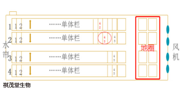 横竖成形非一五，三二合七特马出  打一精准生肖，统计解答解释落实_hvn54.37.06