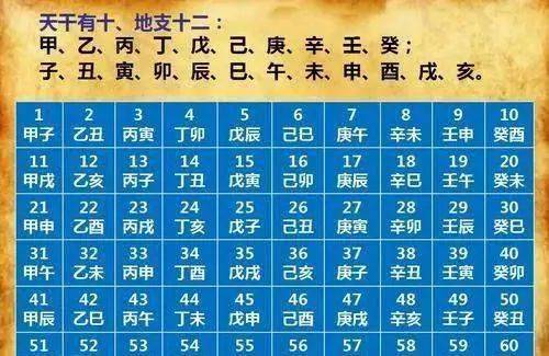 四季耕耘五谷丰风云龙虎四门开打一个最佳生肖，构建解答解释落实_zw792.36.51