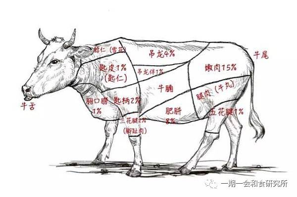 牛会耕地等春种指什么生肖，定量解答解释落实_fg19.70.88